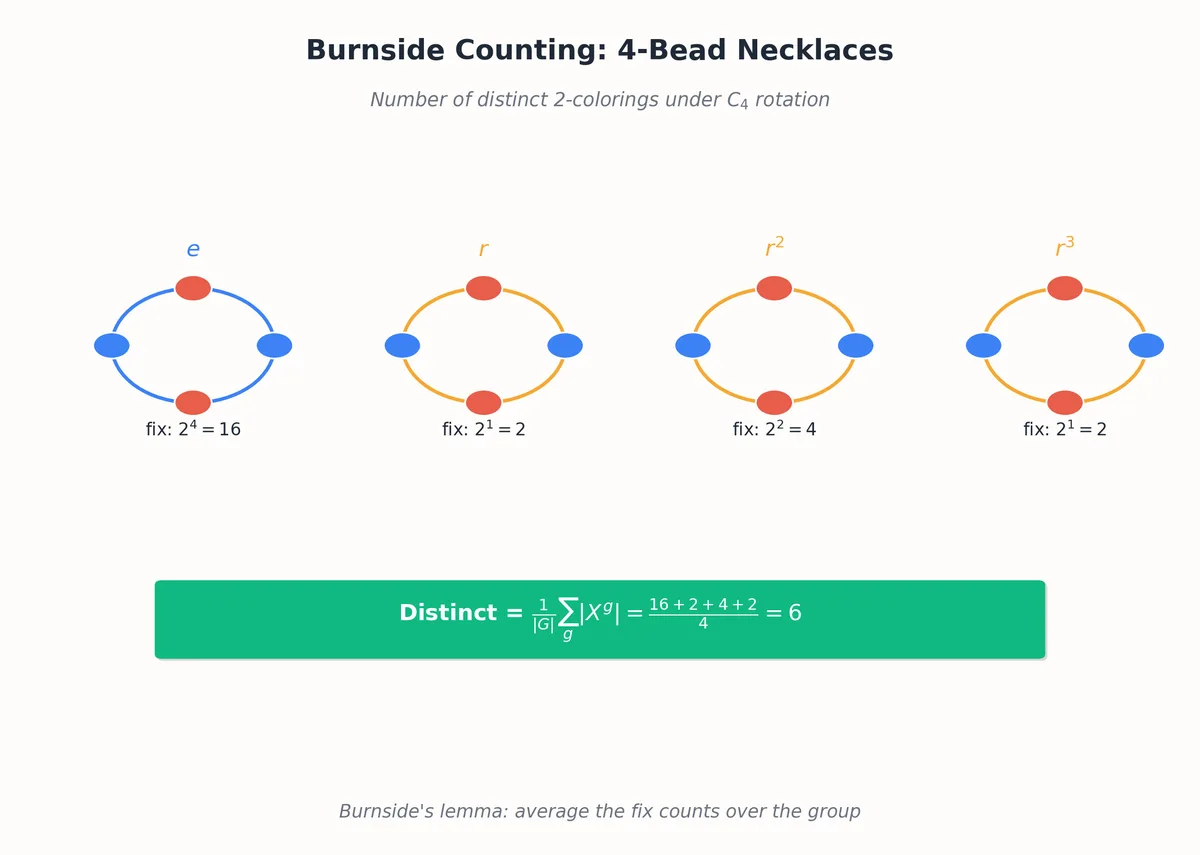 Burnside&rsquo;s lemma counting distinct 2-color necklaces