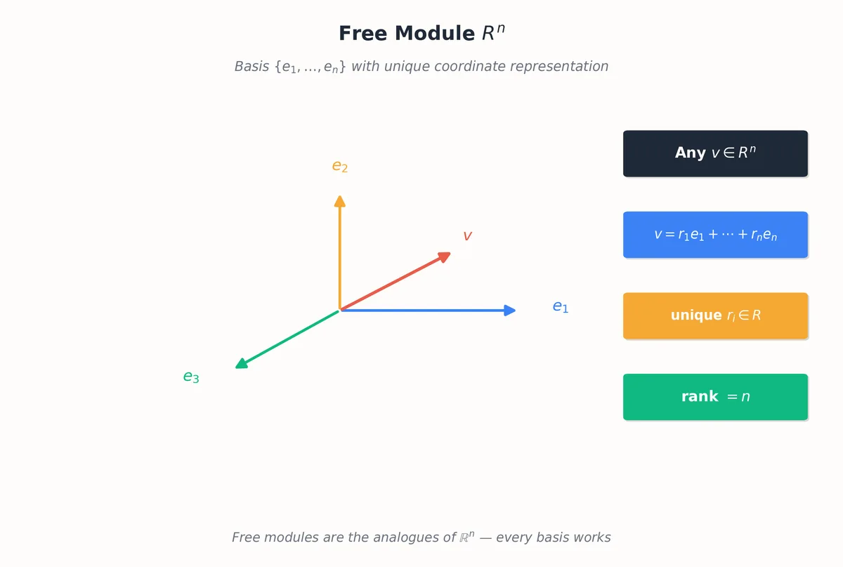A free module R^n with its standard basis