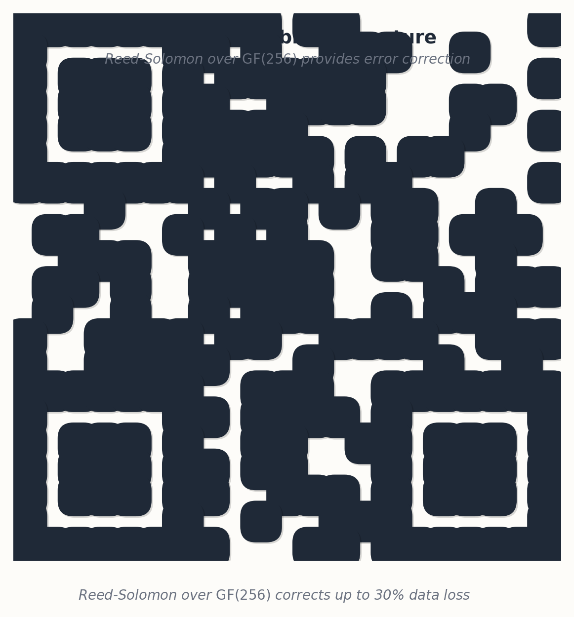 Algebraic structure underlying a QR code