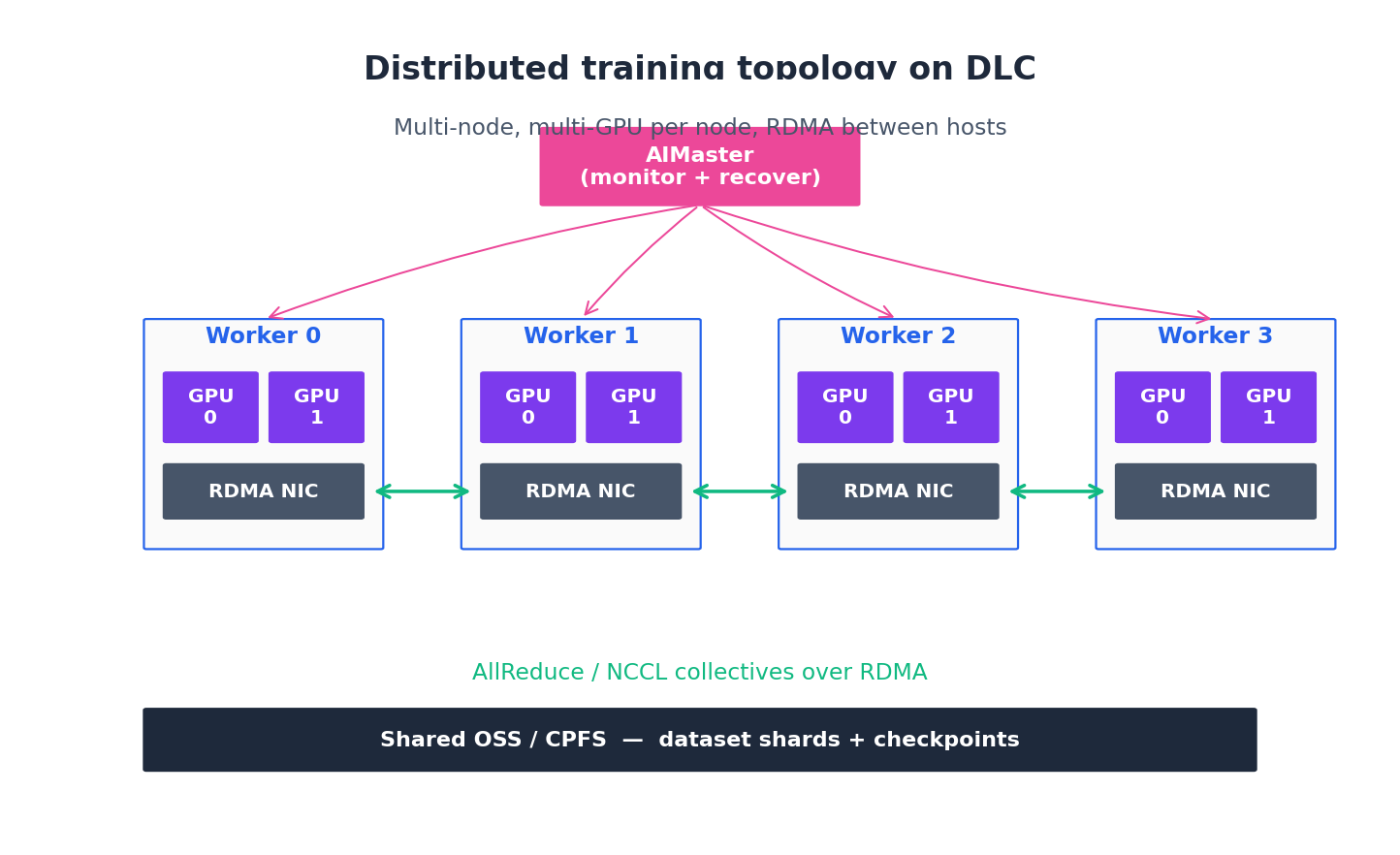 DLC distributed training topology