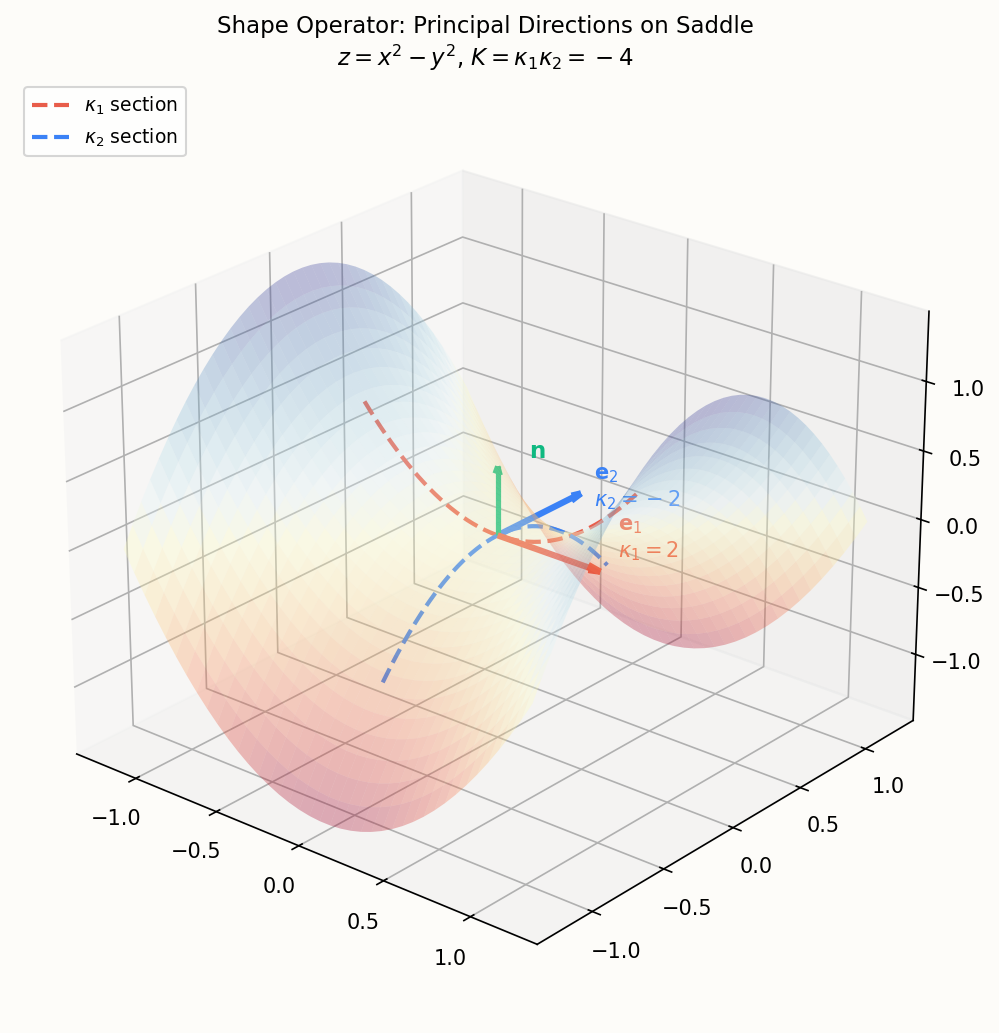Shape operator: how normals change along the surface