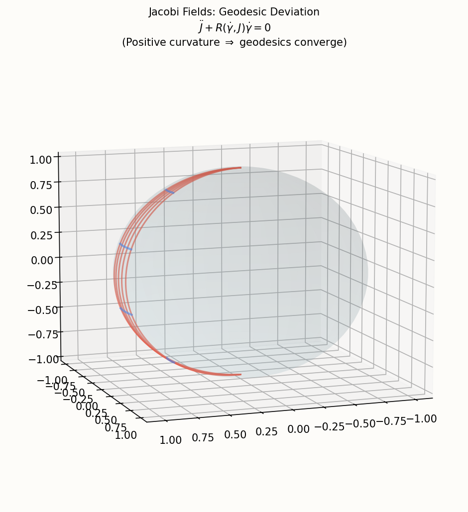 Jacobi fields: geodesic deviation on sphere