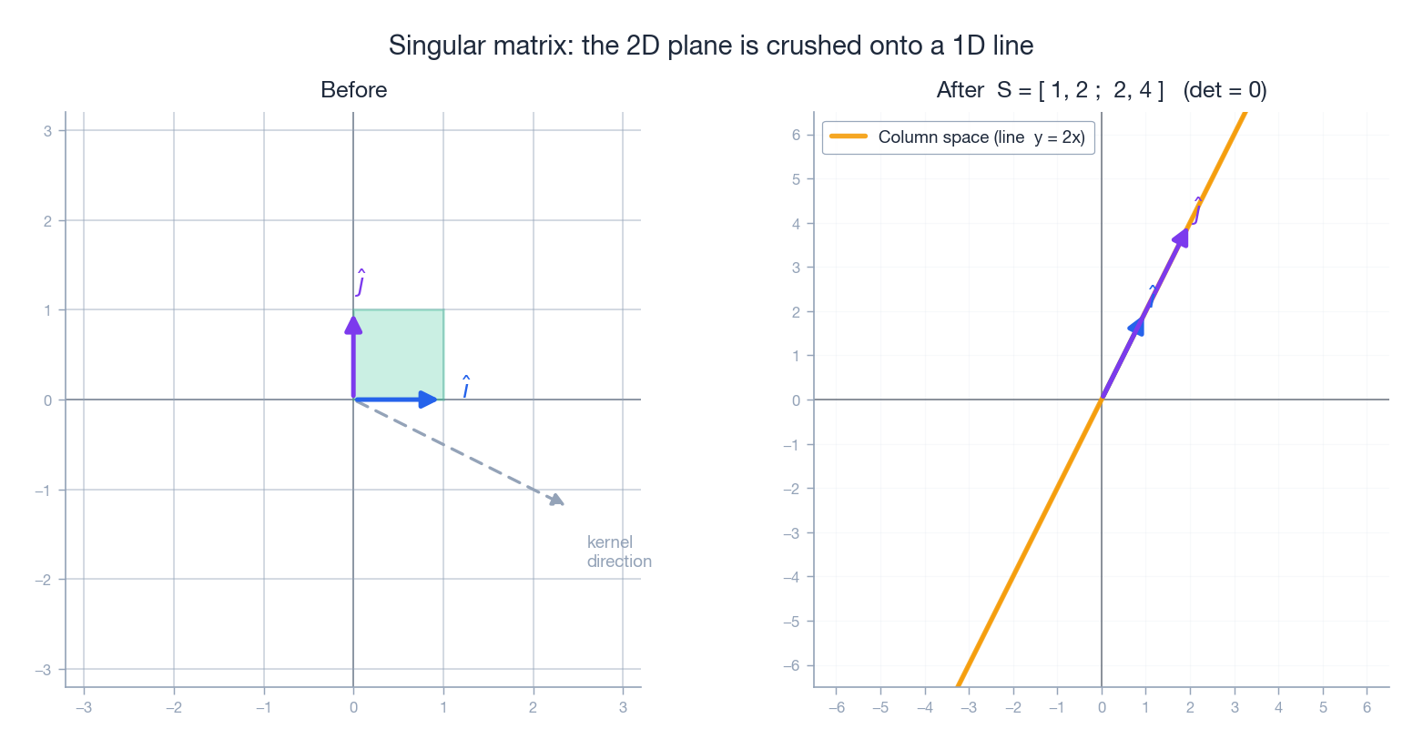 Singular matrix collapses 2D to 1D