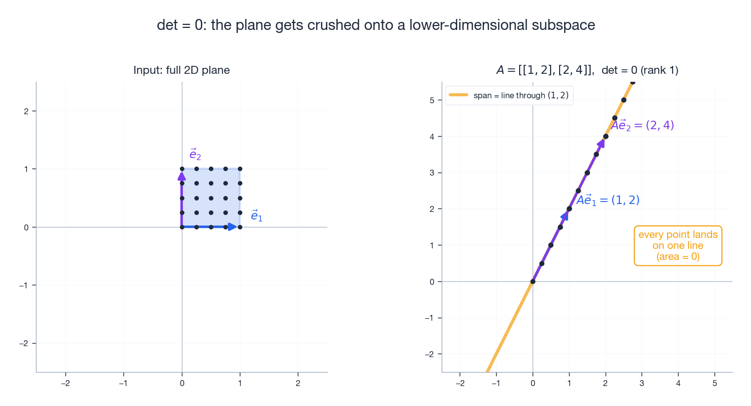 When $\det = 0$, the entire plane is crushed onto a one-dimensional subspace. Every distinct point in the input is squashed onto the same line.