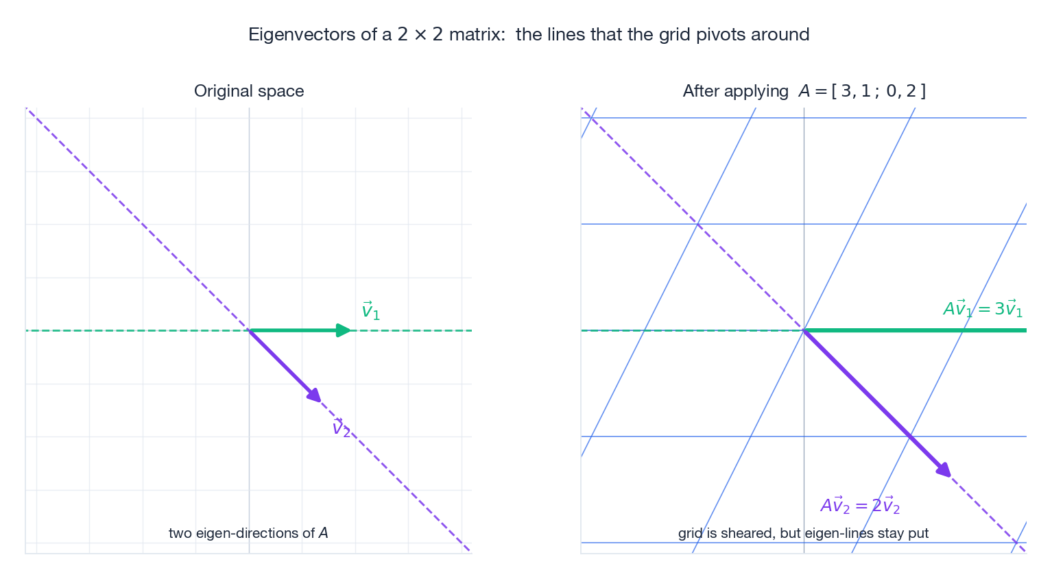 Eigenvectors are the lines that the grid pivots around