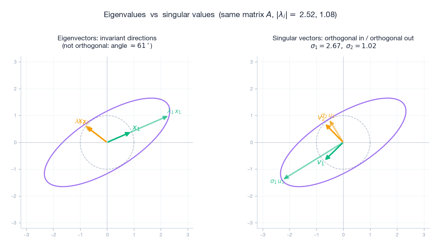 Eigenvectors are not orthogonal; singular vectors are. Eigenvalues describe invariant directions; singular values describe stretching