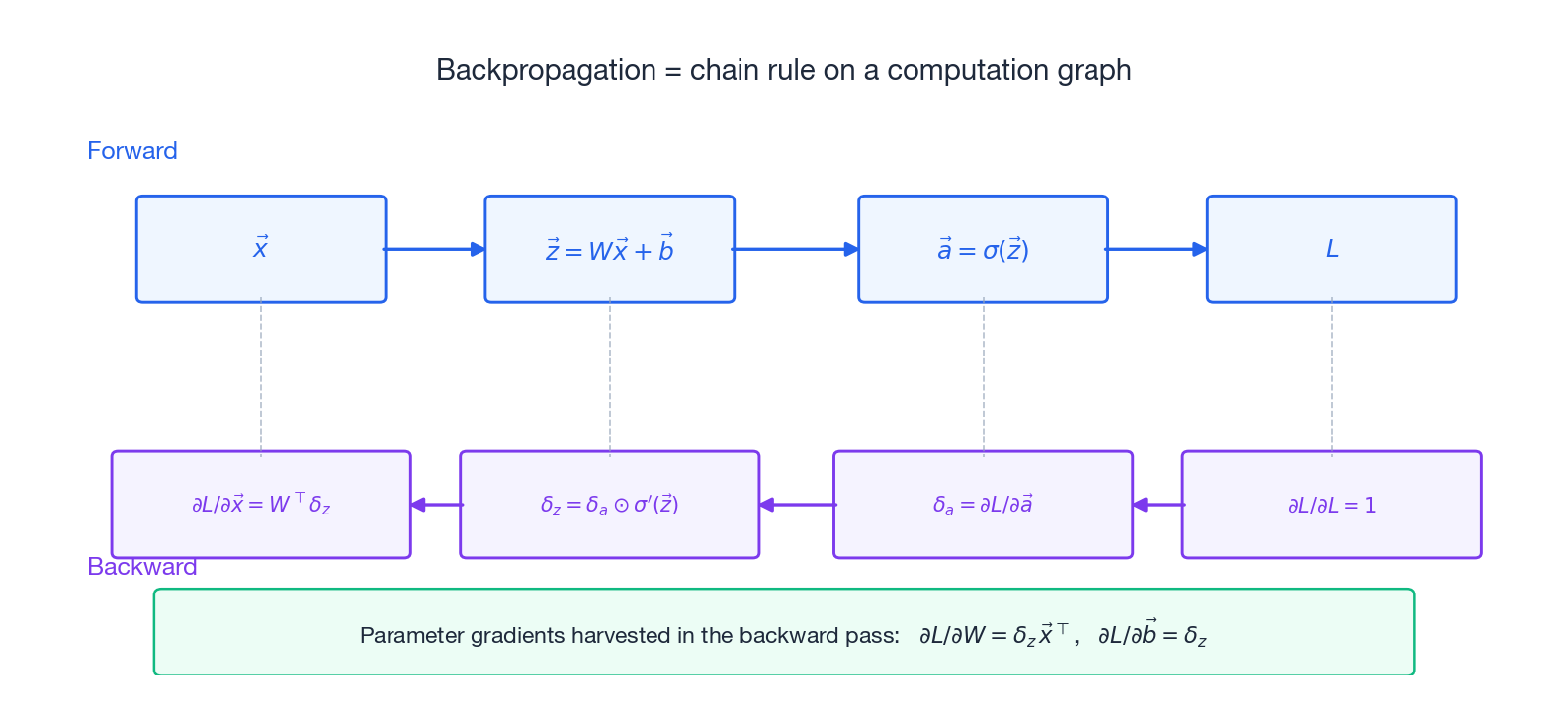 Forward pass computes values; backward pass propagates gradients along the same graph