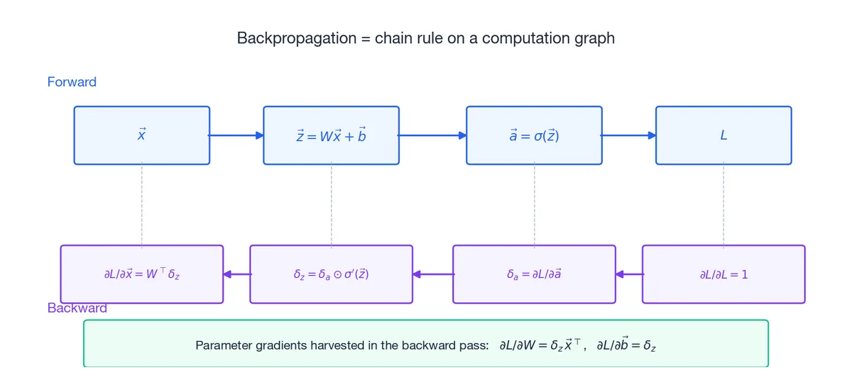 Forward pass computes values; backward pass propagates gradients along the same graph