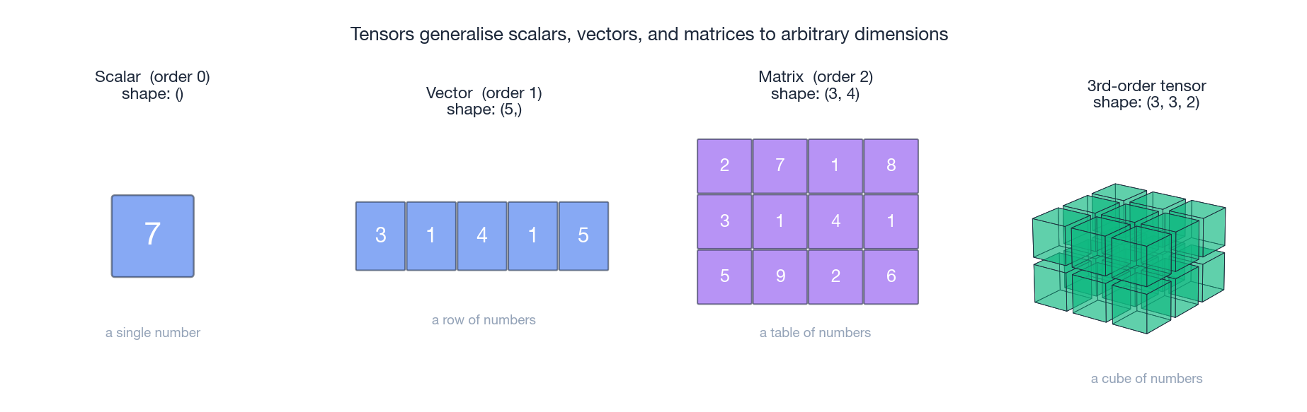 From scalars to tensors: each step adds one more axis