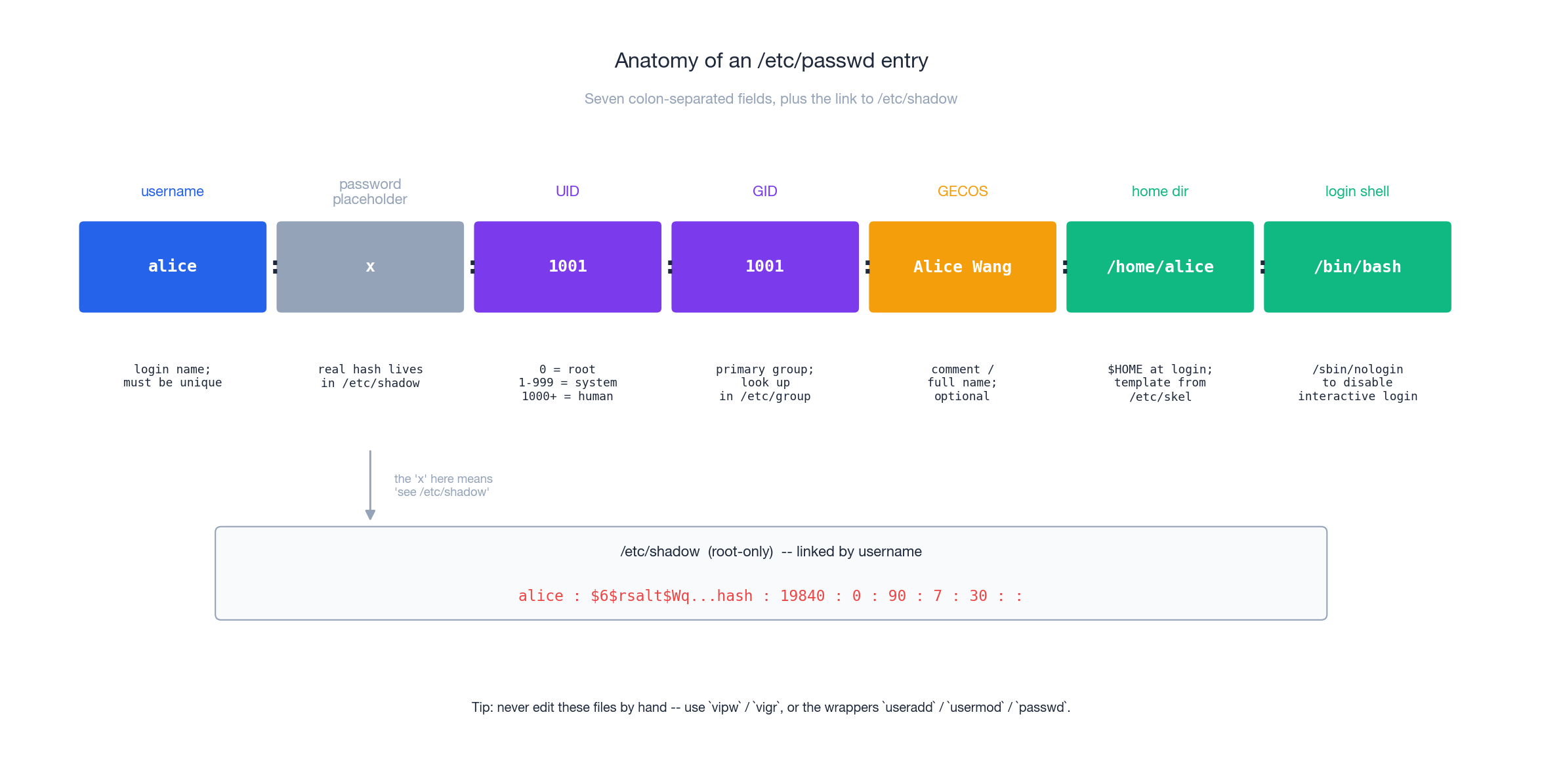 Anatomy of an /etc/passwd entry and its link to /etc/shadow