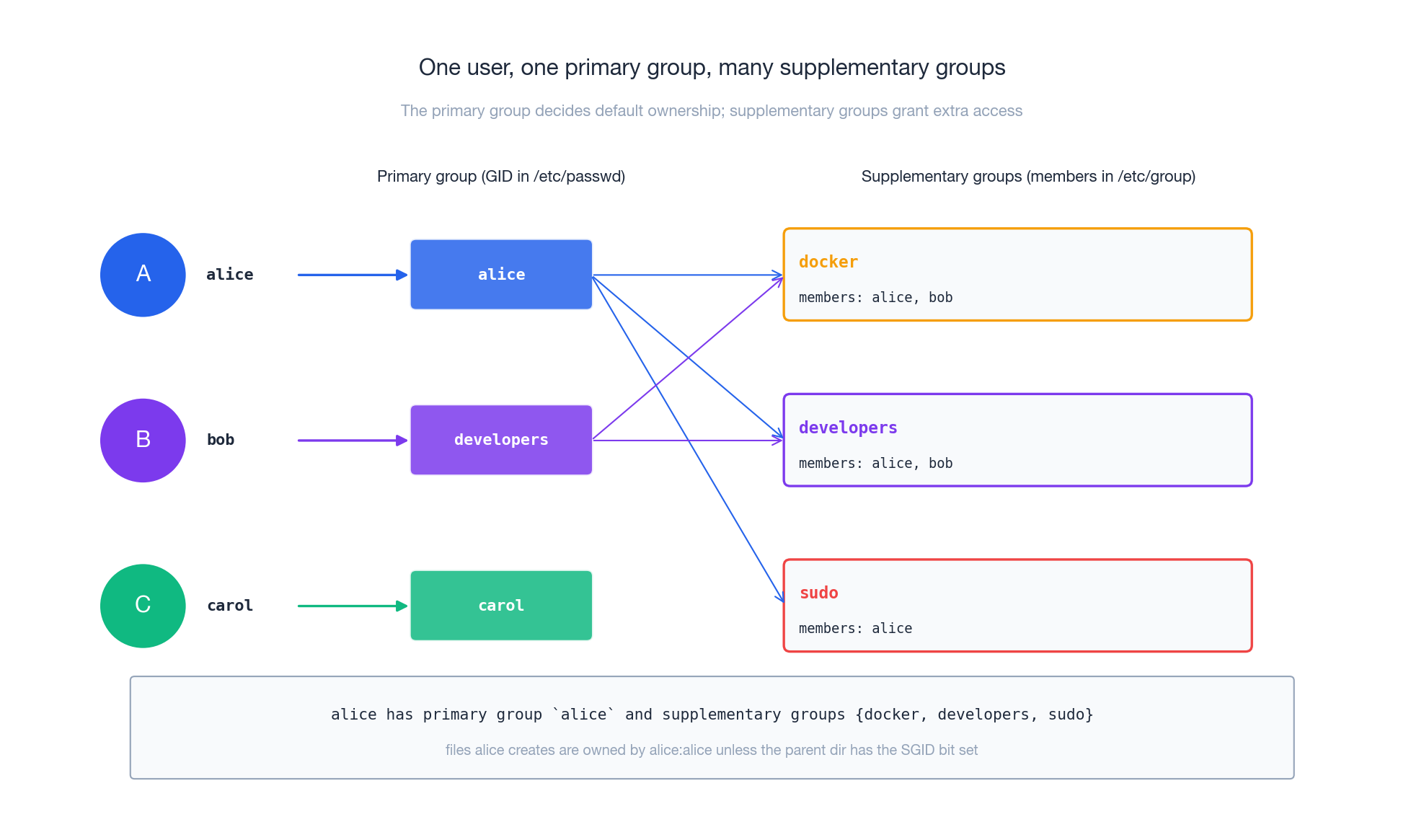 Users belong to one primary group and many supplementary groups