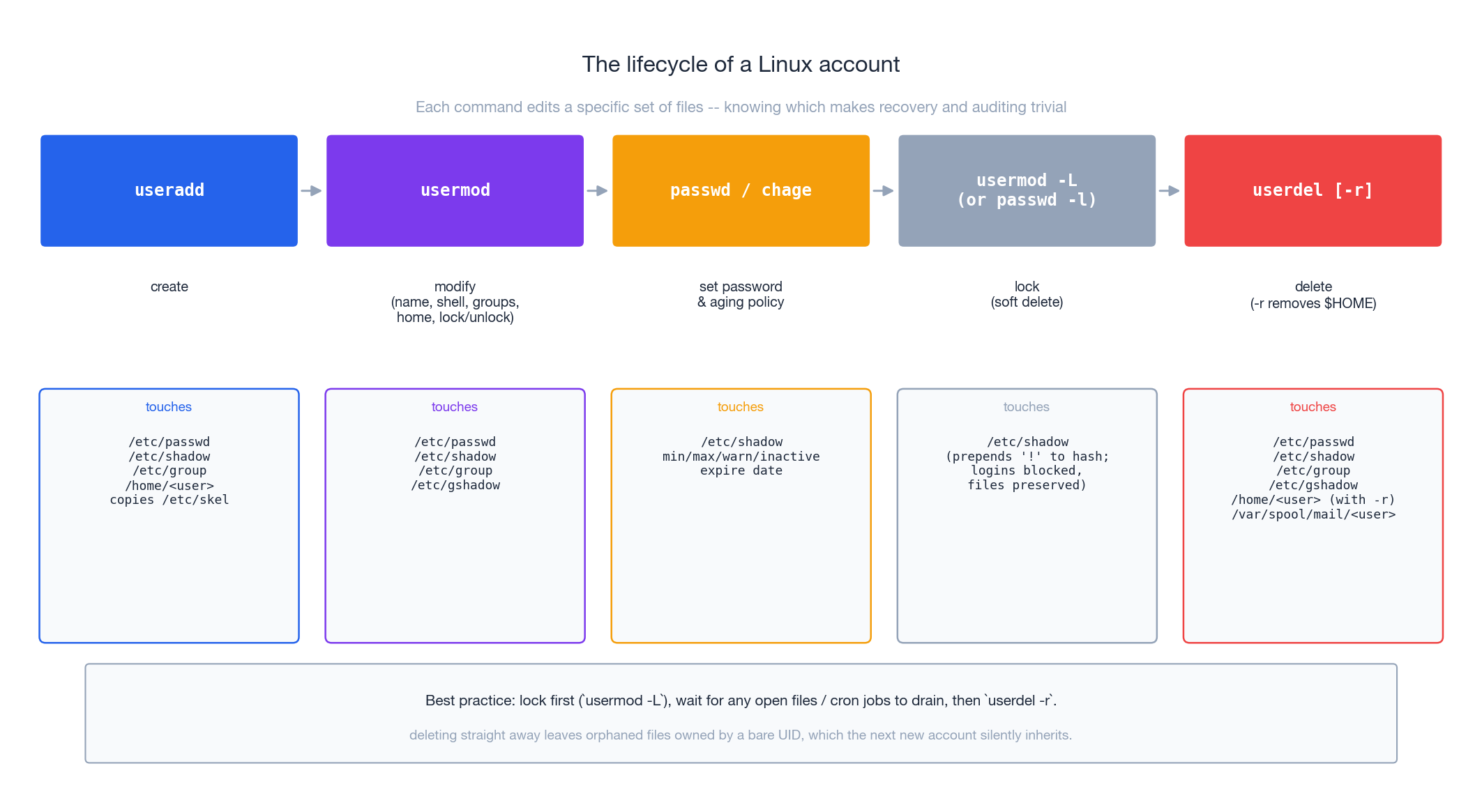 The lifecycle of a Linux account: useradd, usermod, passwd, lock, userdel
