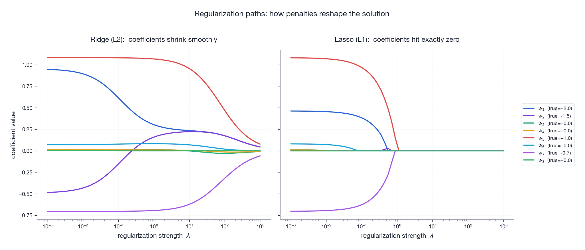 Coefficient paths: Ridge shrinks smoothly, Lasso clips to zero