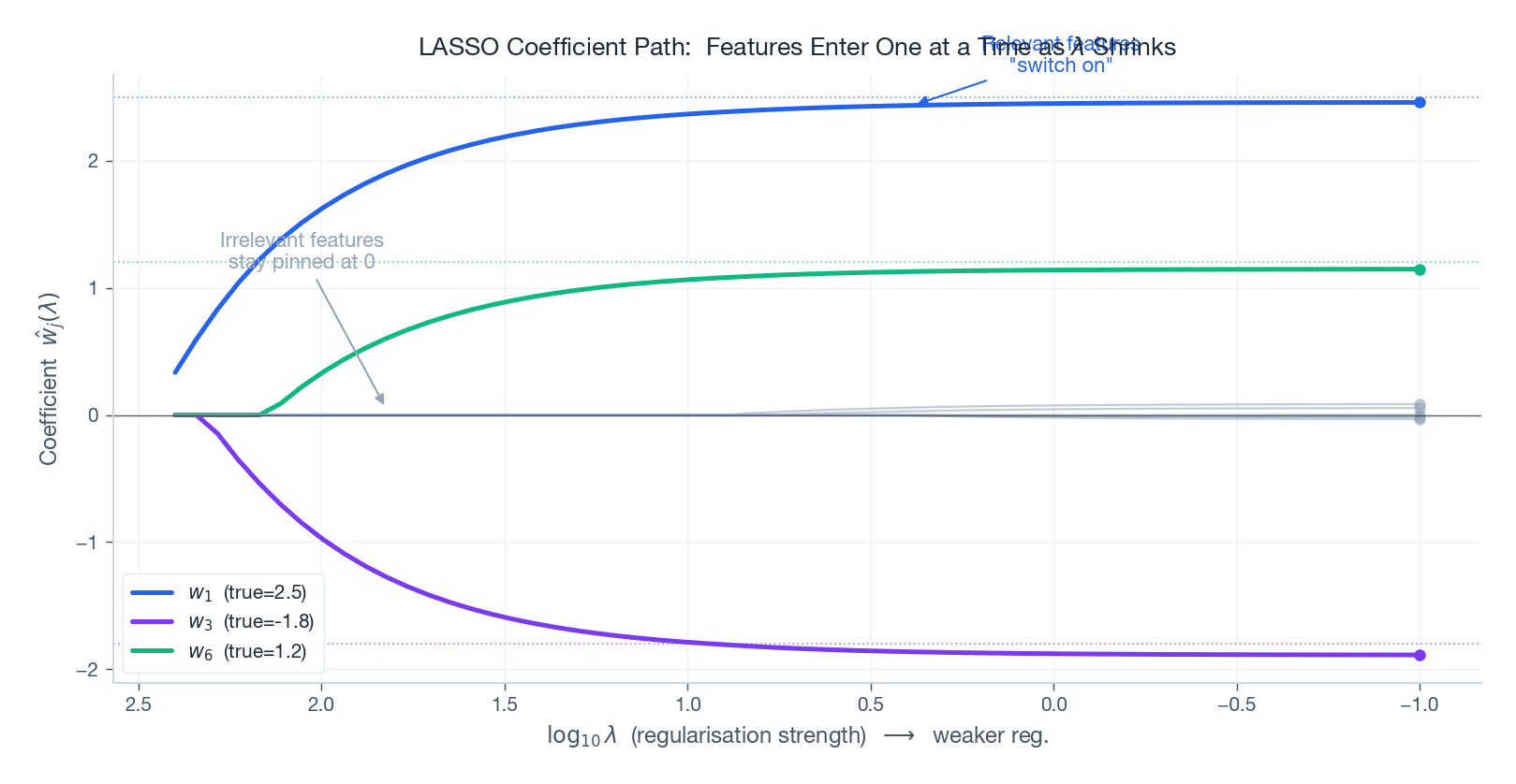 LASSO coefficient path: relevant features enter the model as lambda shrinks; irrelevant ones stay at zero