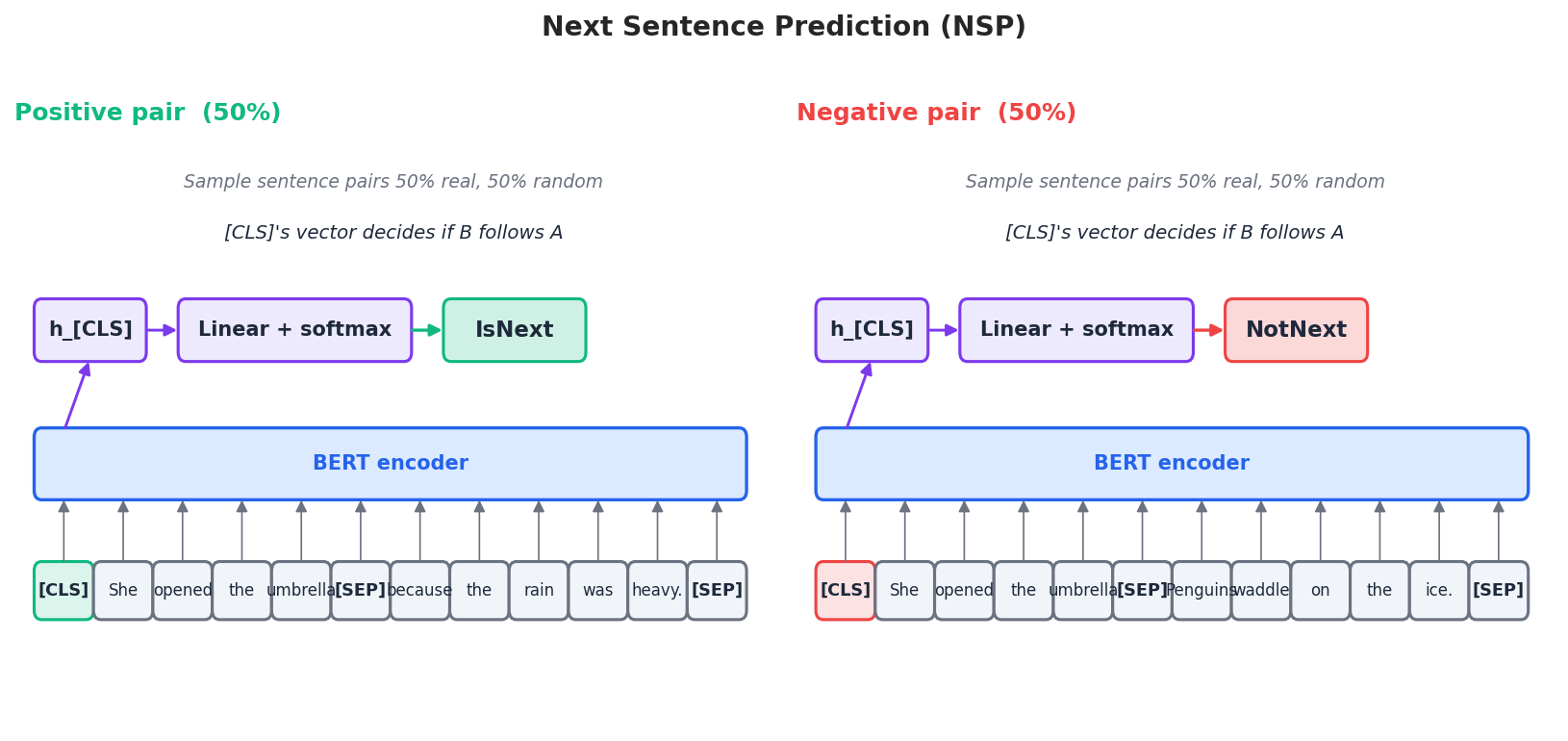 NSP: positive vs negative pairs