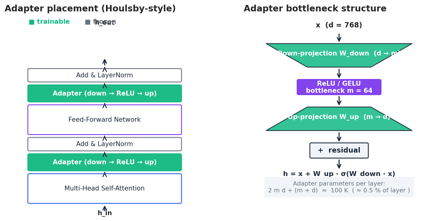 Adapters are inserted after attention and FFN sub-layers; each is a down-project / nonlinearity / up-project bottleneck with a residual.