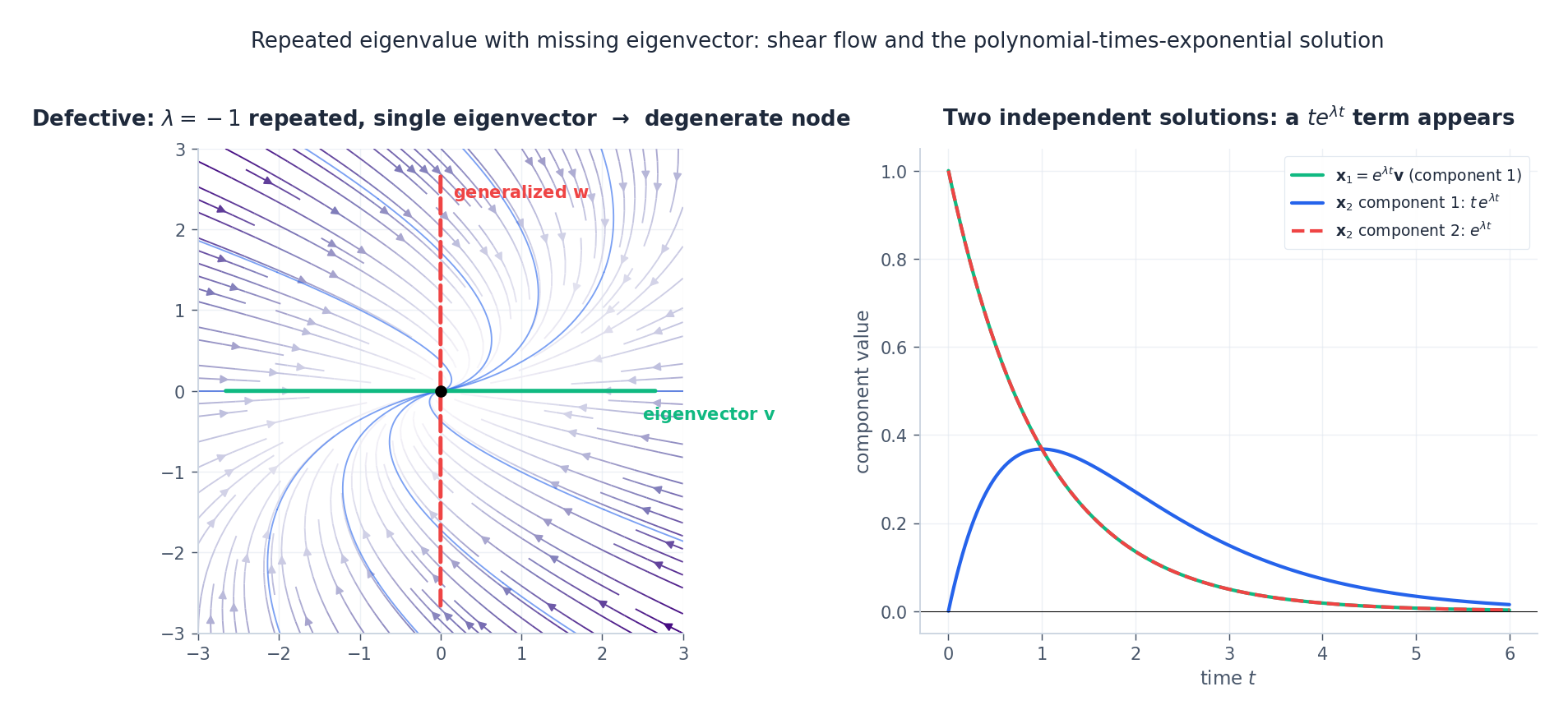 A defective 2x2 system: the flow shears toward the single eigen-direction, and the second independent solution acquires a t e^{lambda t} component.