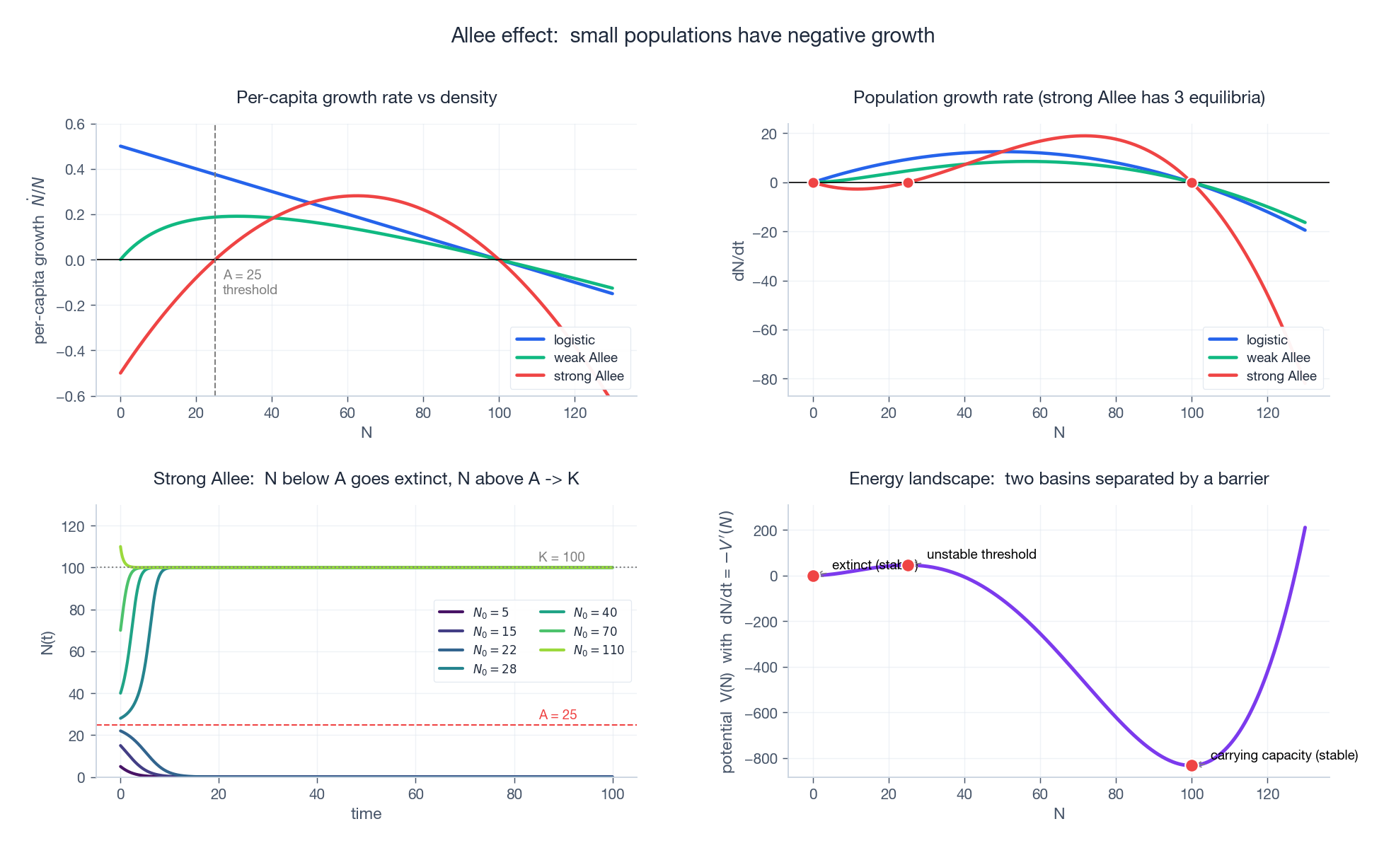 Allee effect: per-capita and total growth rates, trajectories from various N0, and the energy-landscape interpretation.