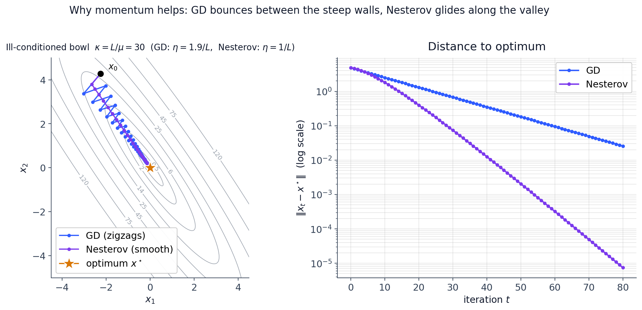 Trajectories on a rotated ill-conditioned quadratic: GD zigzags across the steep direction while Nesterov rolls smoothly along the valley