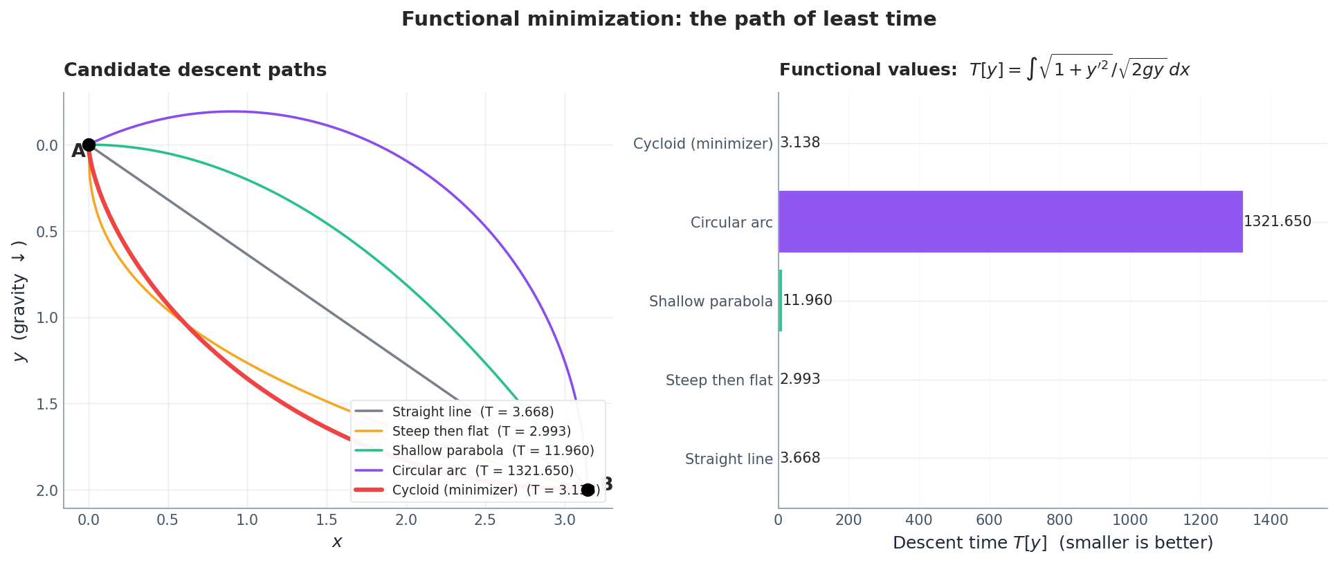 Candidate descent paths and their functional values: the cycloid minimises the brachistochrone time.