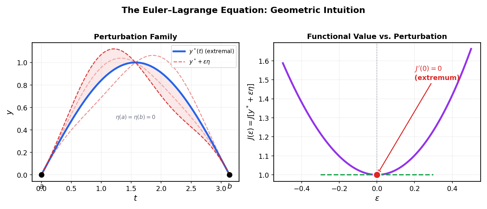 Euler-Lagrange geometry: perturbation family and the parabolic profile of the functional.