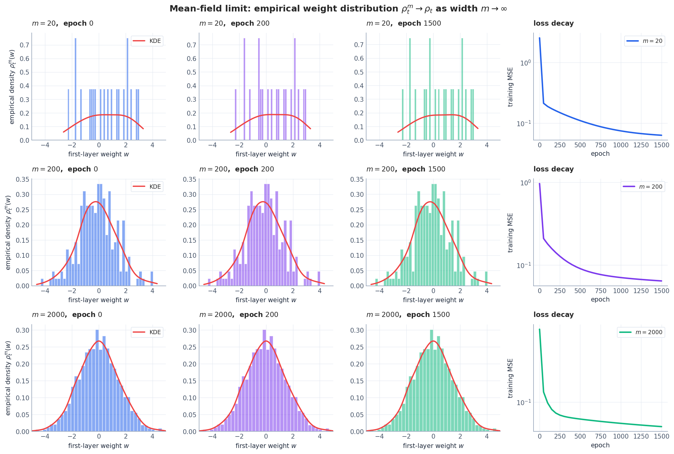 Mean-field limit on a two-layer ReLU network: histograms of first-layer weights at three training snapshots, for widths $m=20, 200, 2000$, with KDE overlays.
