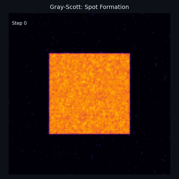 Gray-Scott simulation: spot patterns emerging from random initial conditions