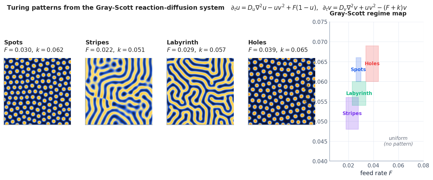 Four Turing morphologies produced by the Gray-Scott model — spots, stripes, labyrinth, holes — together with a sketch of where each lives in the $(F,k)$ regime map.