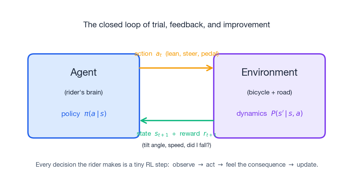 Agent and environment in a closed feedback loop