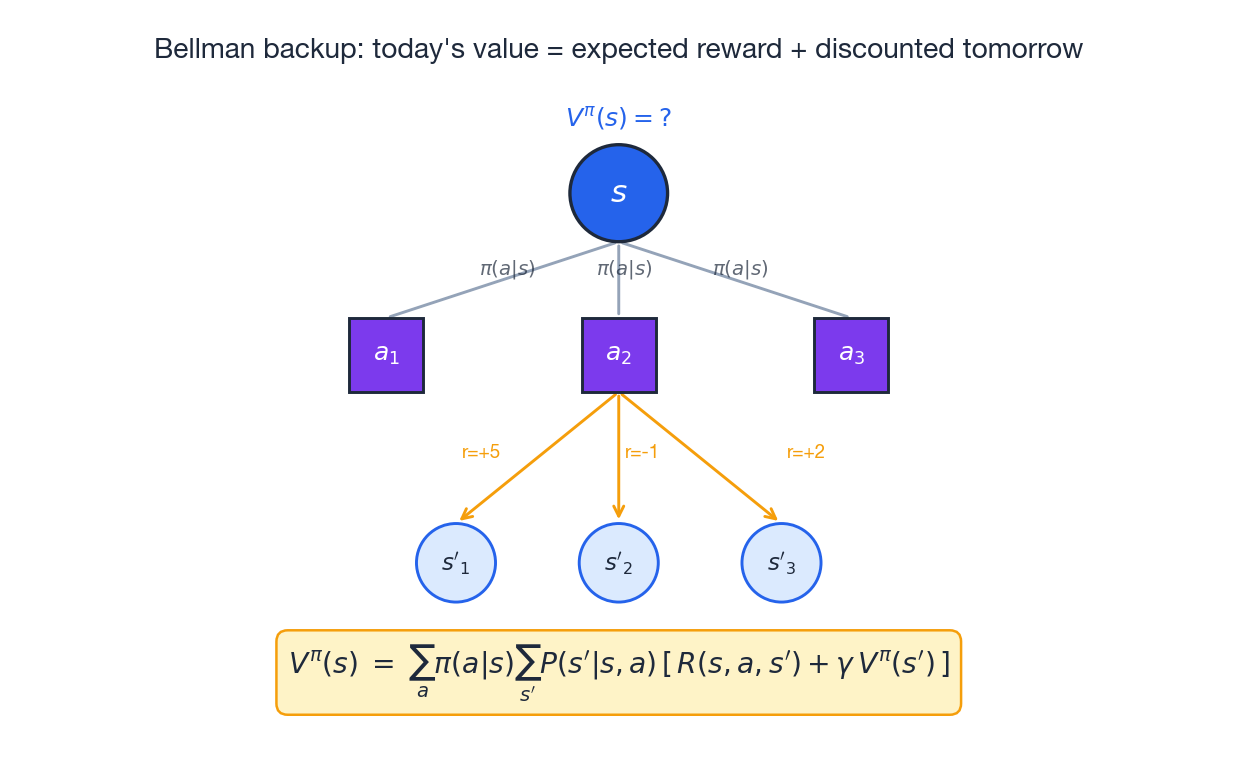 Bellman backup tree: today&rsquo;s value built from tomorrow&rsquo;s