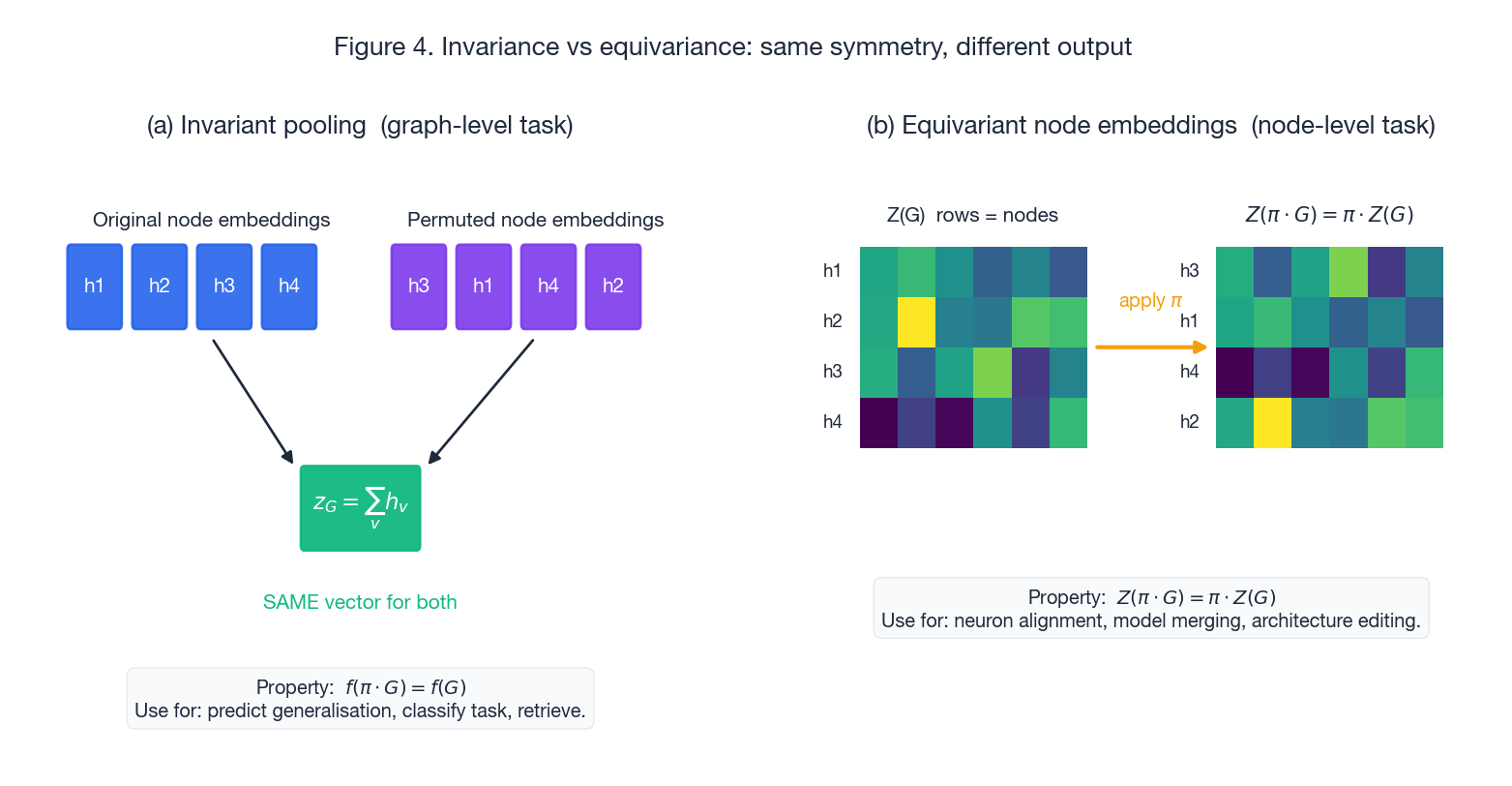 Invariance vs equivariance: same symmetry, different output