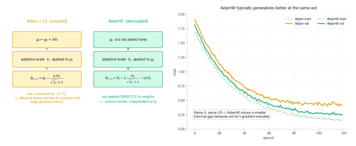 AdamW (decoupled) vs Adam+L2 (coupled): where weight decay enters the update