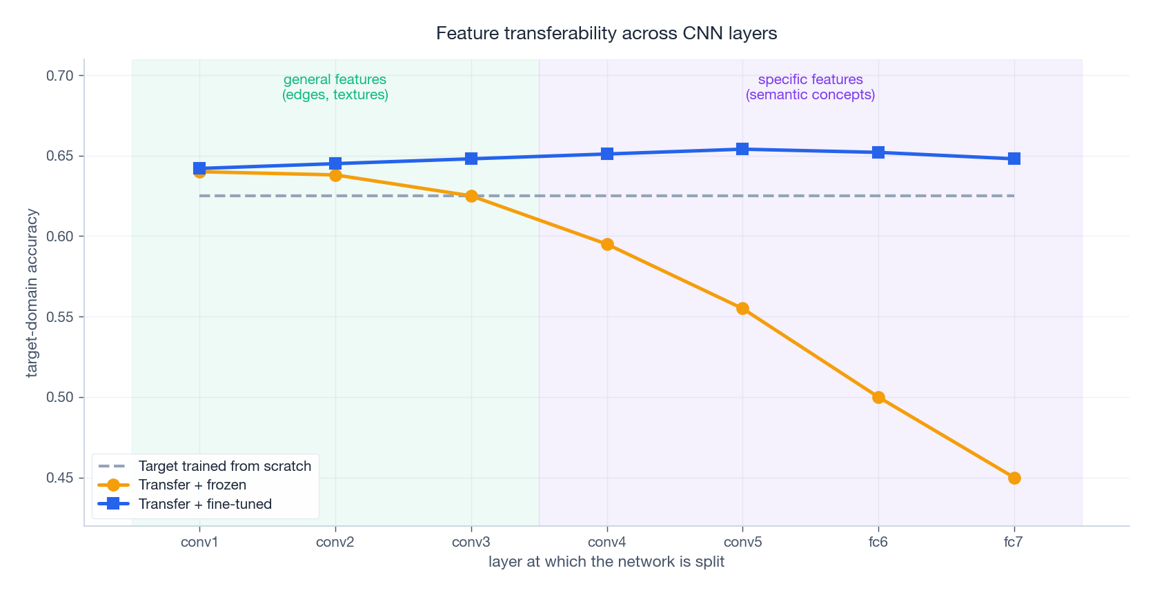 Layer-wise transferability of CNN features