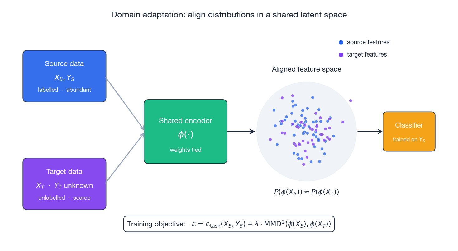 Domain adaptation problem setup with a shared encoder