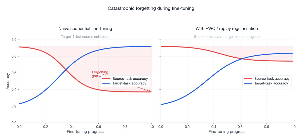 Catastrophic forgetting during fine-tuning