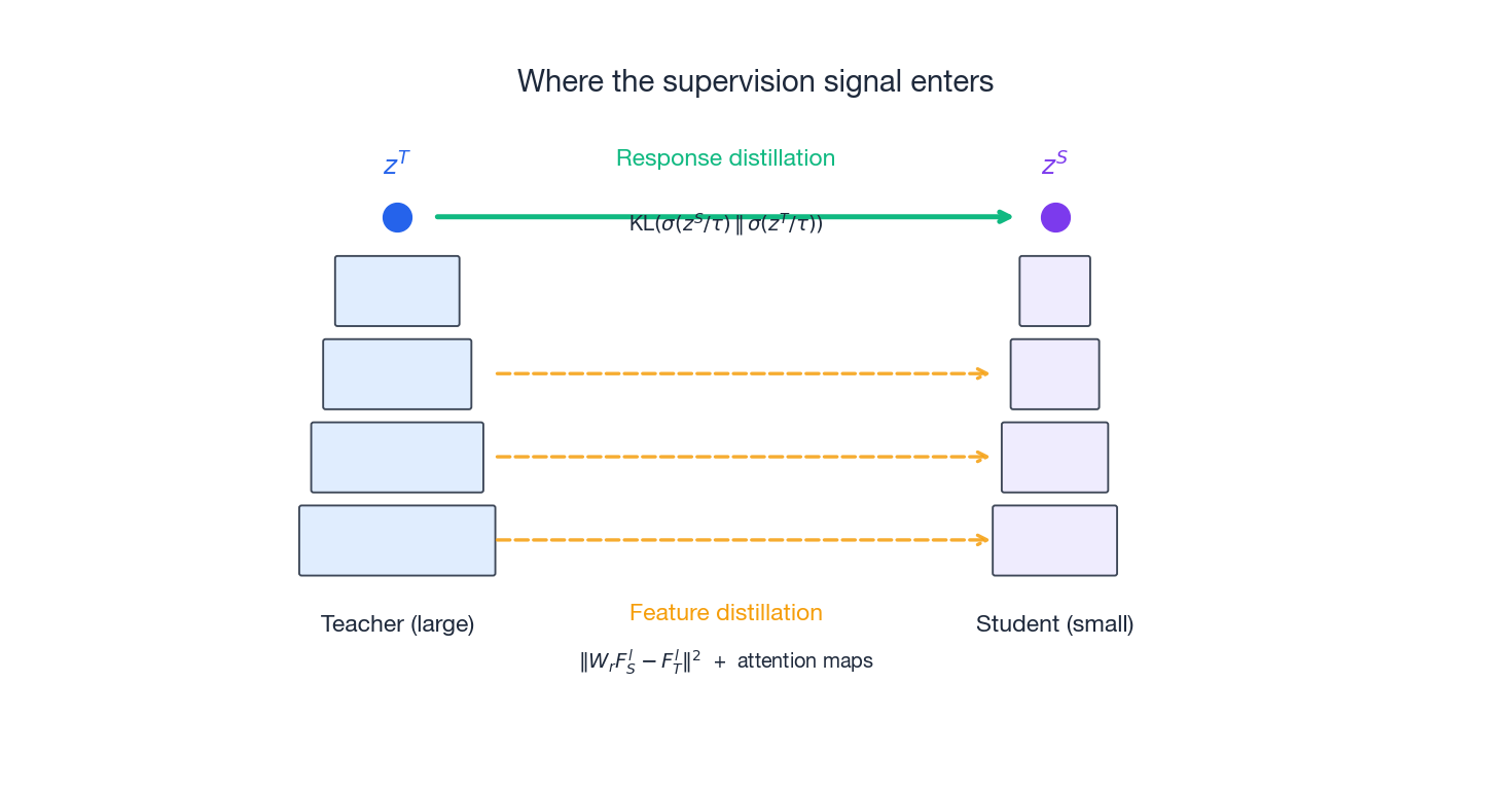 Response distillation matches logits; feature distillation also matches intermediate maps