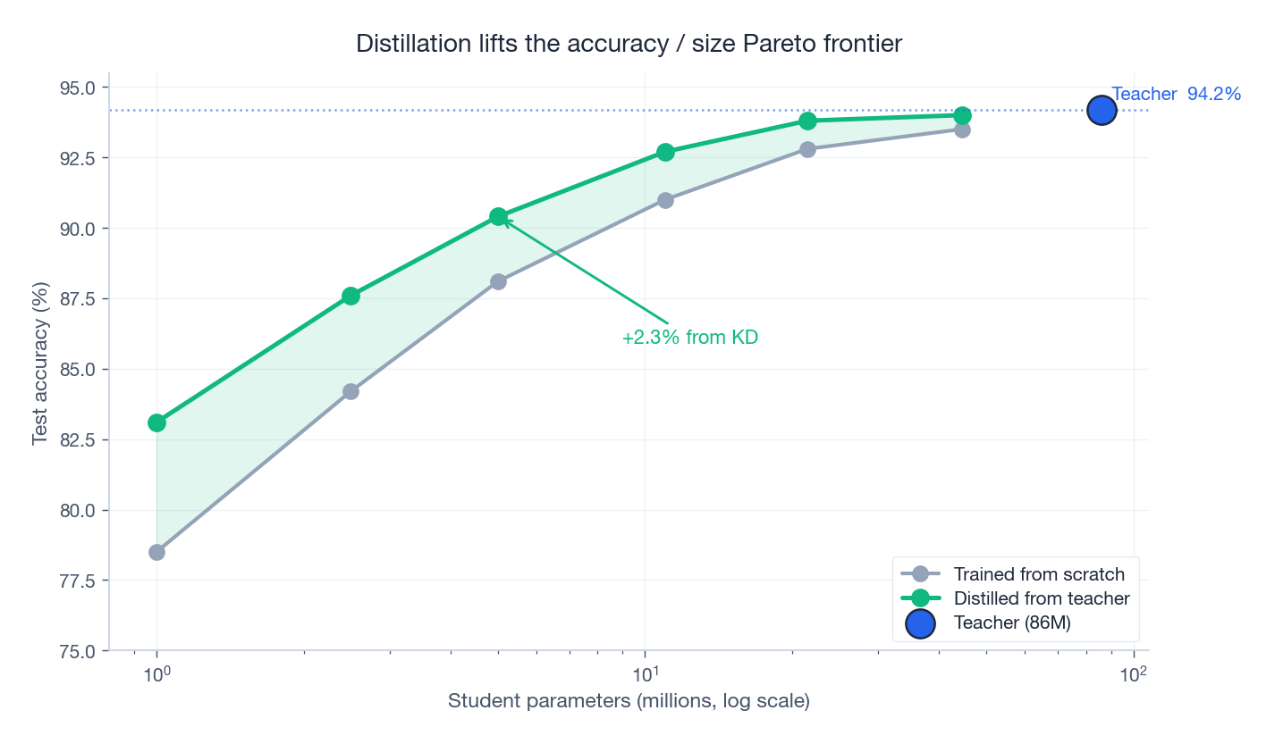 Distillation strictly dominates training-from-scratch across the size axis