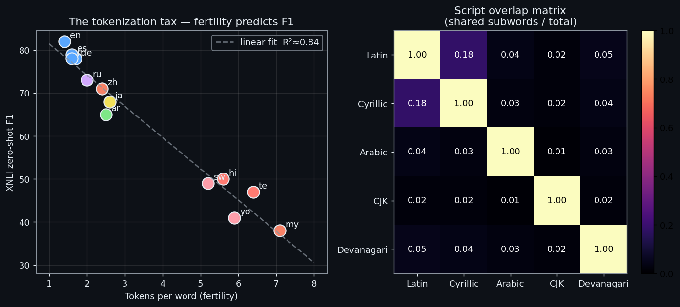 The tokenization tax: fertility predicts XNLI F1; script overlap matrix across 5 writing systems.