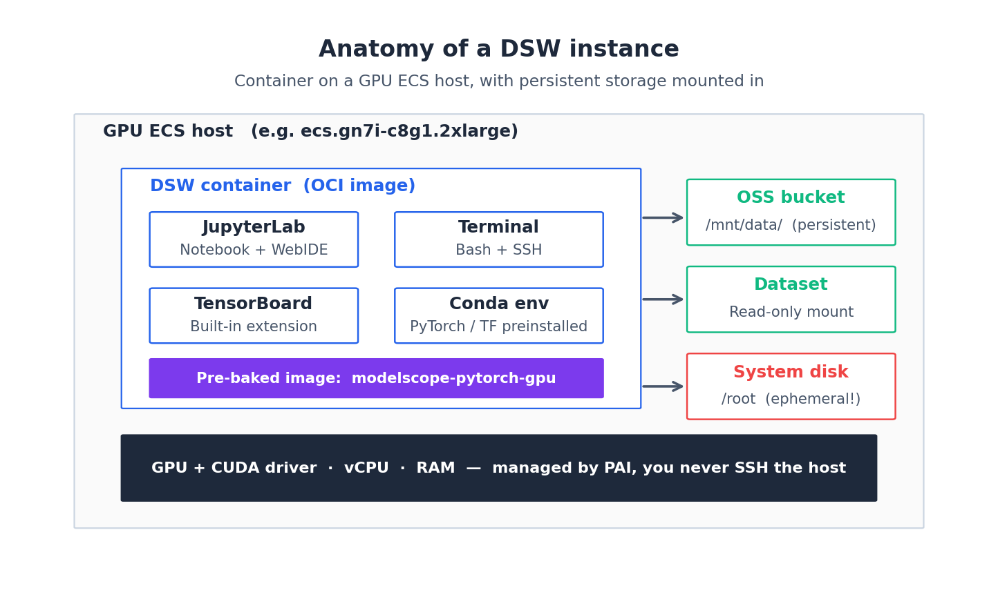 DSW 实例解剖