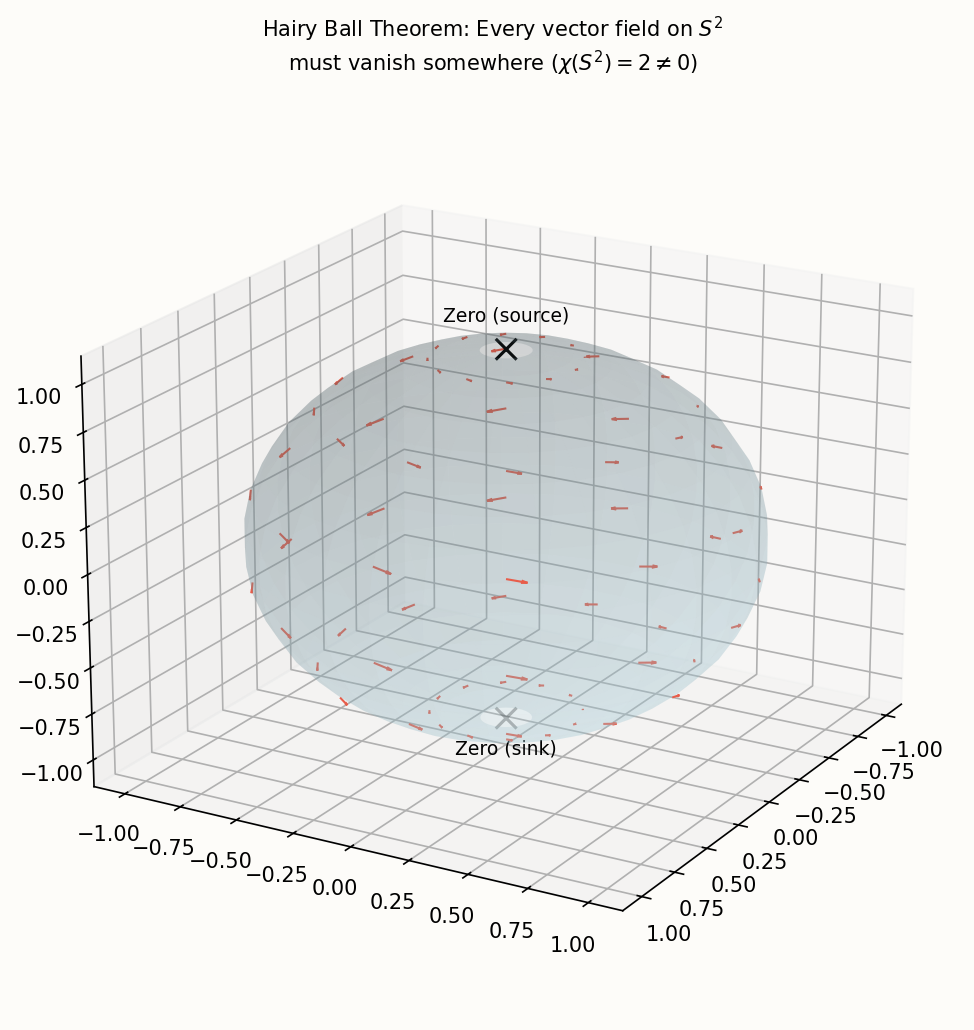 毛球定理:S^2 上不存在处处非零向量场