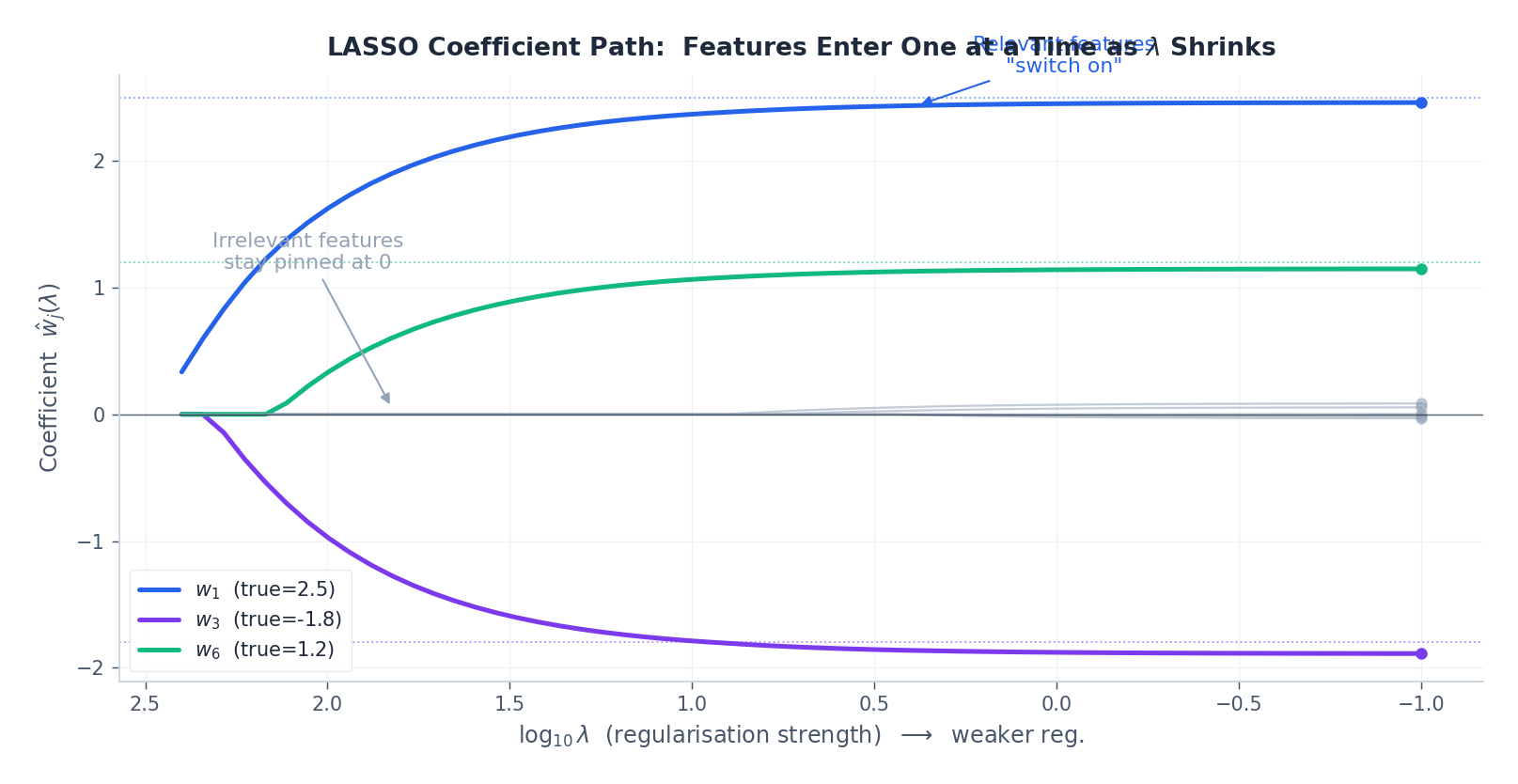 LASSO 系数路径:随 lambda 减小,相关特征逐一进入模型,无关特征始终为零