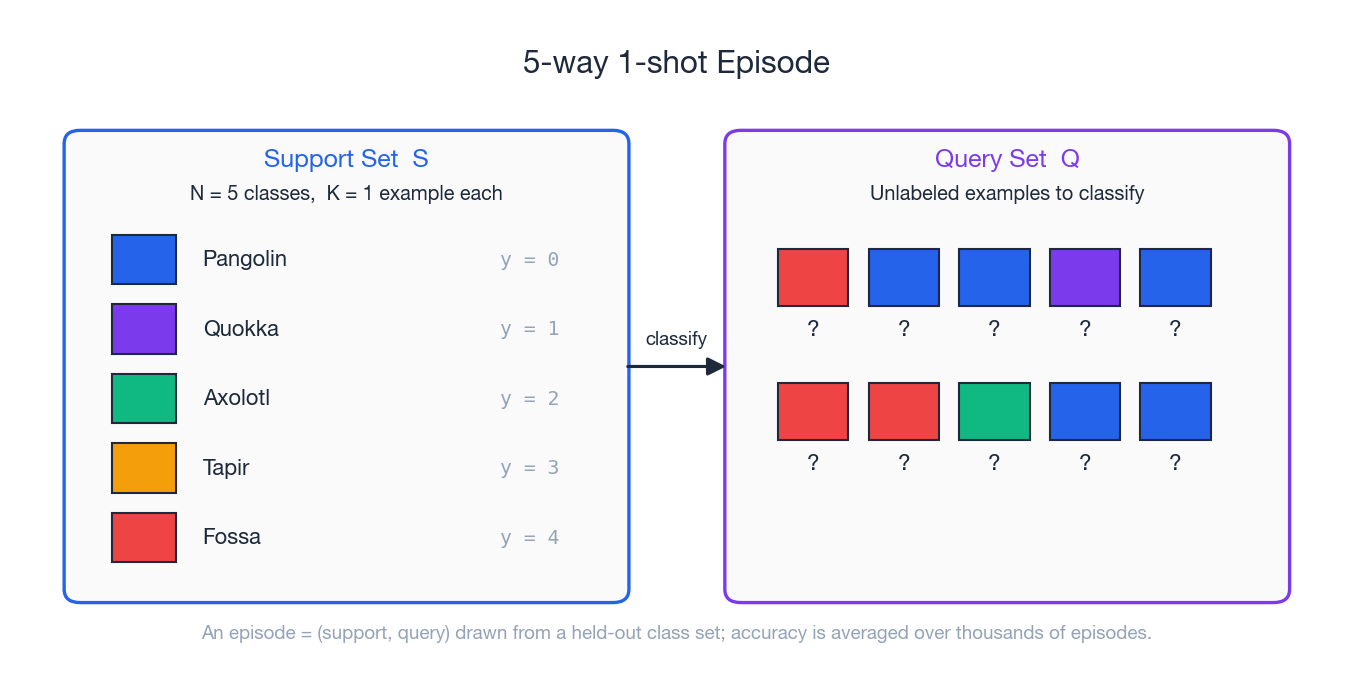 5-way 1-shot 评测：左侧支持集、右侧查询集